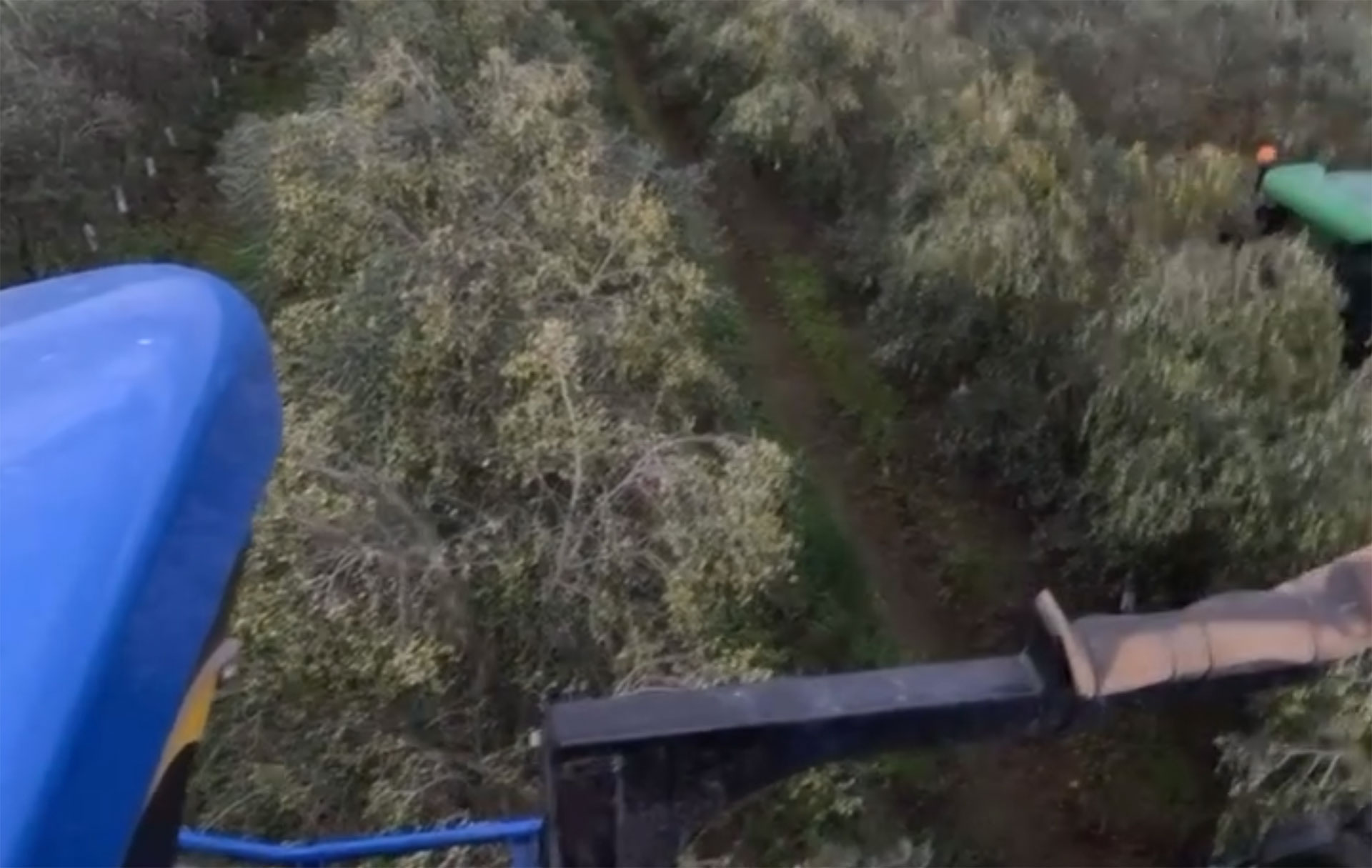 Vista aérea de una finca de olivar con maquinaria agrícola trabajando