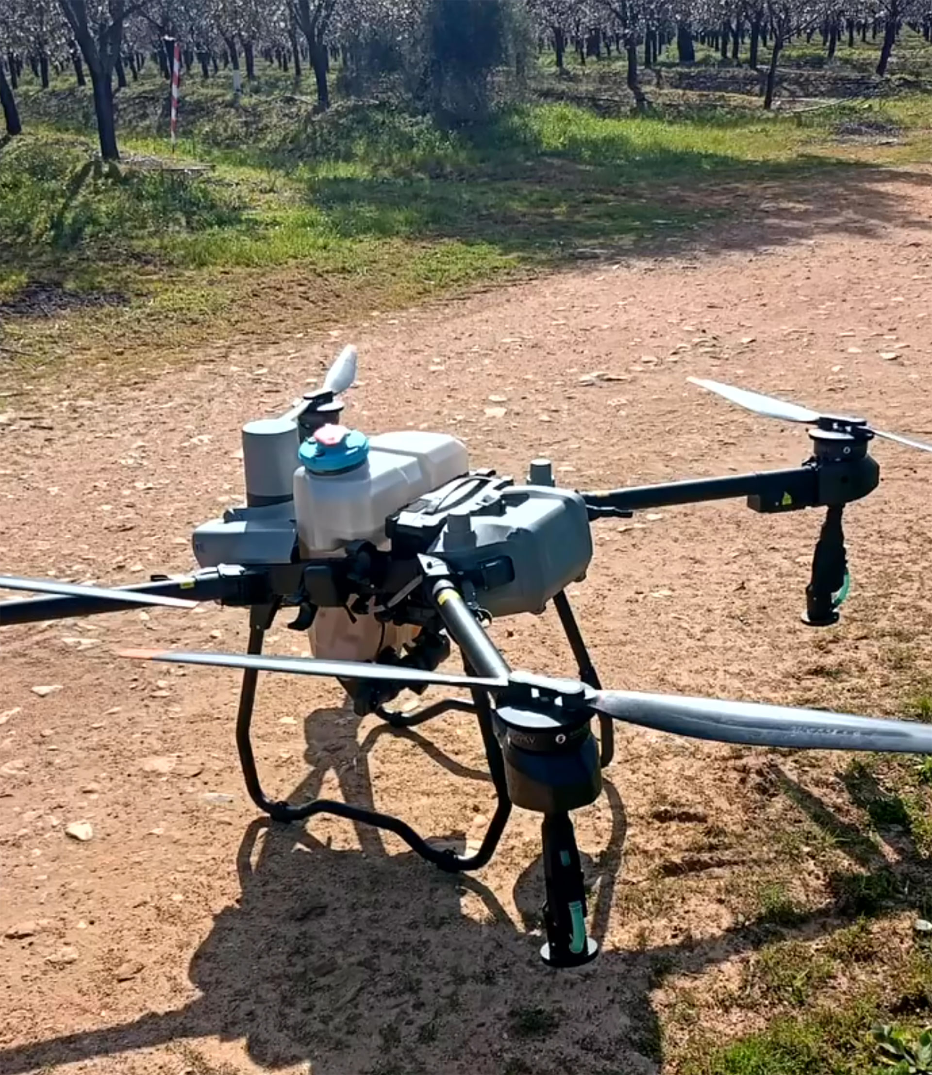 Dron agrícola preparado para labores de polinización en el almendral